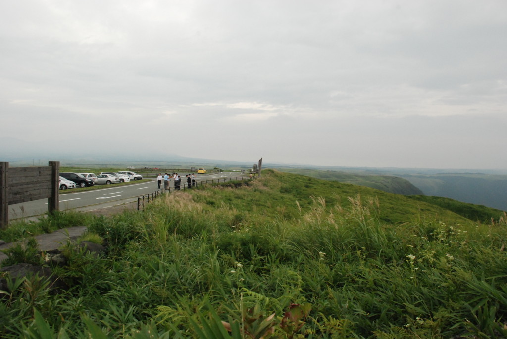 dsc_0233.jpg
