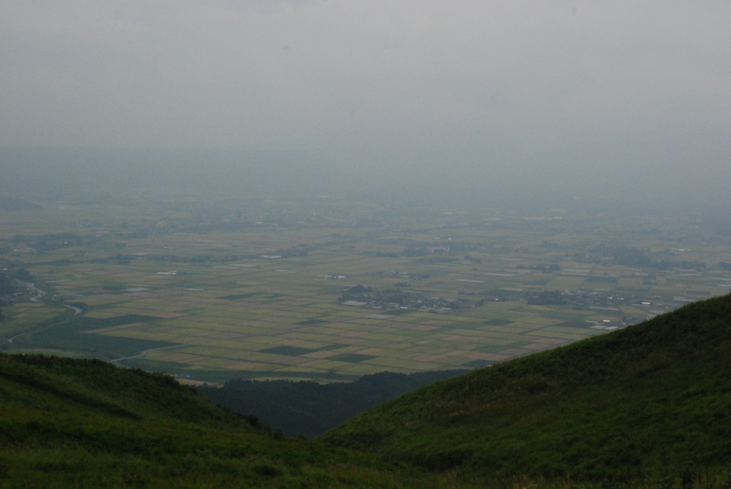 dsc_0239.jpg