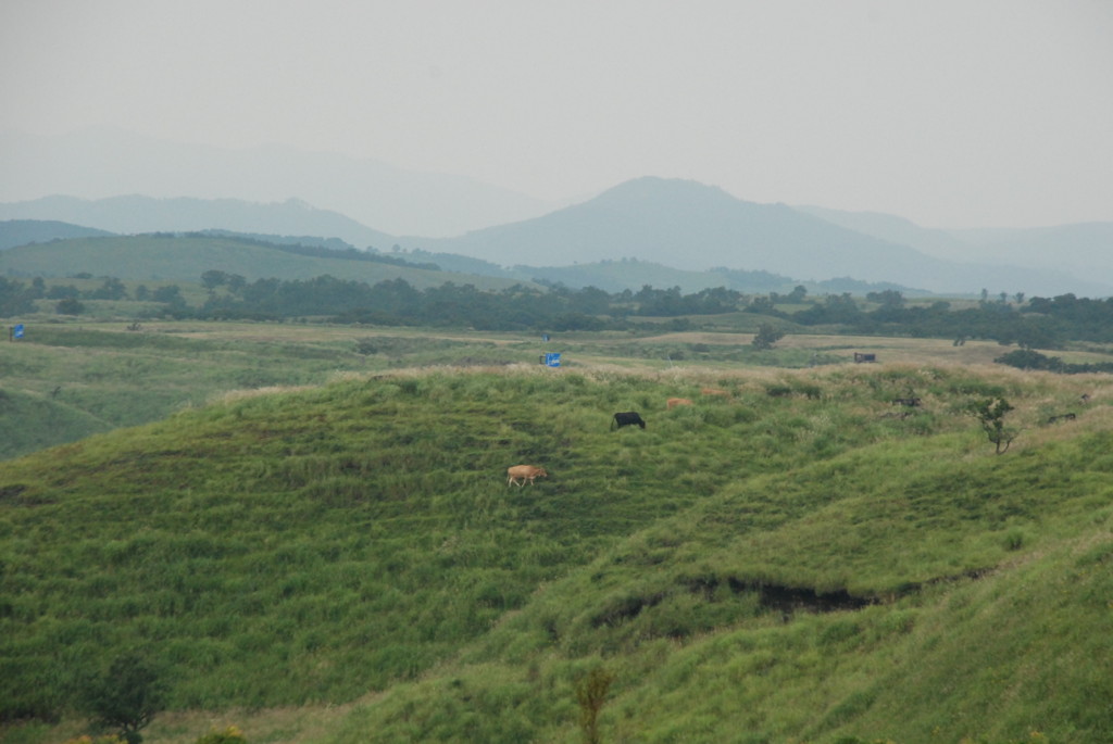 dsc_0245.jpg