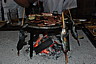 dsc_0336.jpg