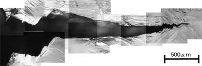 Crack propagation in Mg