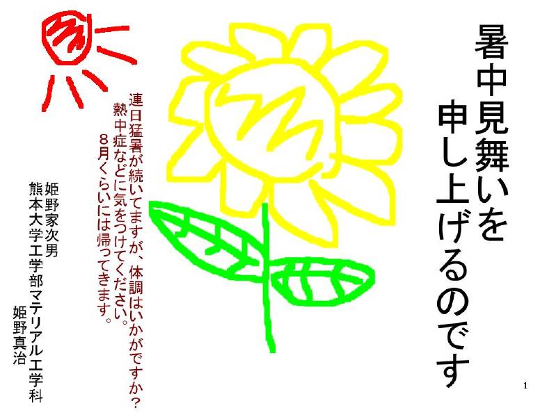 13071t2733.jpg
