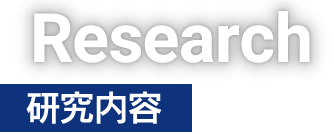 Research 研究内容