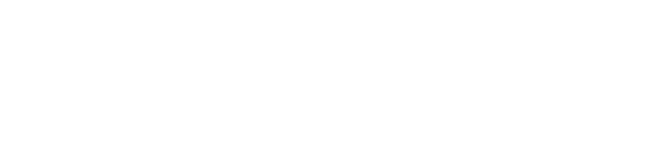 スケール階層間連携による 力学特性の起源解明